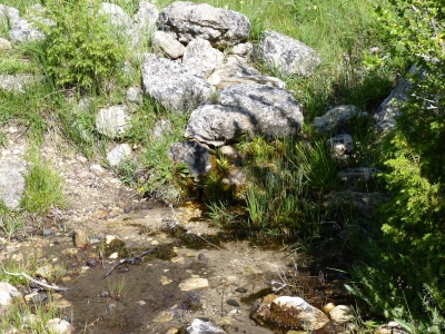 Fuente la Mina - imagen 1
