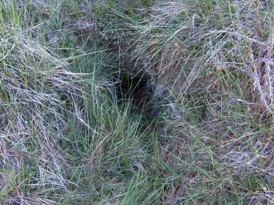Nacimiento del Júcar I - imagen 2