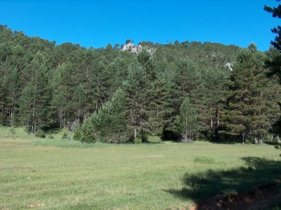 Nacimiento del Júcar I - imagen 3