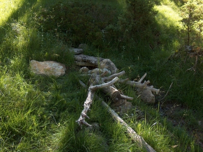 Nacimiento del Júcar II - imagen 1