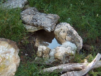 Nacimiento del Júcar II - imagen 2
