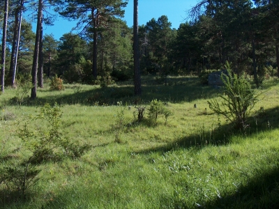 Nacimiento del Júcar II - imagen 5
