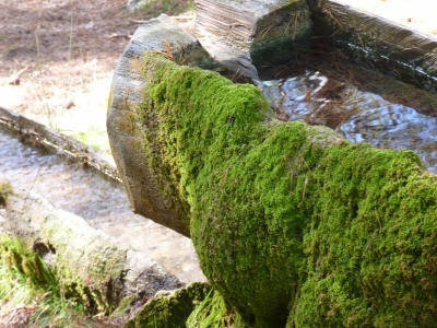 Fuente de Prao Pajar - imagen 7