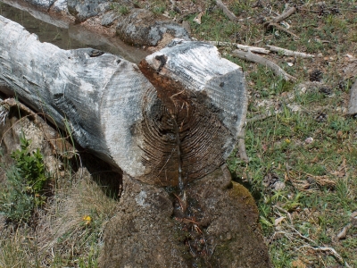 Fuente del Rincón de la Veredilla - imagen 5