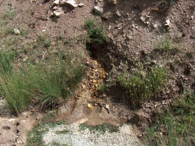 Fuente de la solana del Cerro de En medio - imagen 1