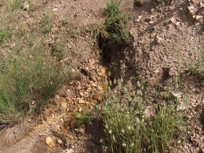 Fuente de la solana del Cerro de En medio - imagen 2