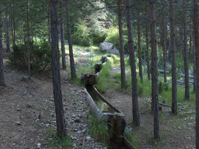 Fuente del Tío Porro - imagen 4