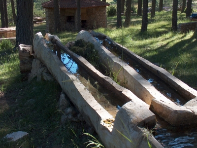 Fuente del Vasallo (área recreativa) - imagen 1
