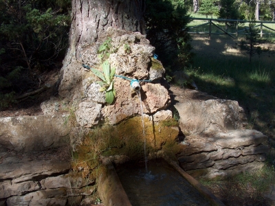 Fuente del Vasallo (área recreativa) - imagen 2