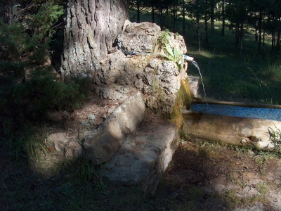 Fuente del Vasallo (área recreativa) - imagen 3