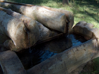 Fuente del Vasallo (área recreativa) - imagen 5