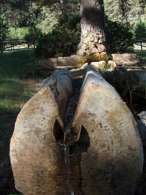 Fuente del Vasallo (área recreativa) - imagen 6