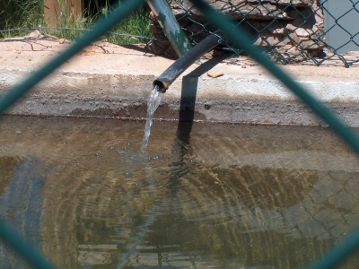 Fuente del Vasallo (abrevadero) - imagen 2