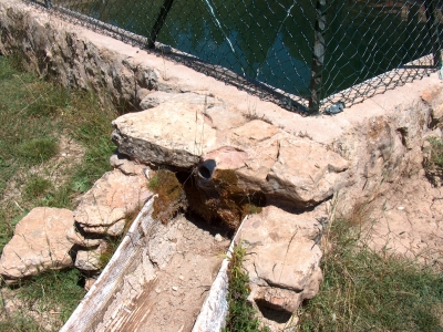 Fuente del Vasallo (abrevadero) - imagen 6