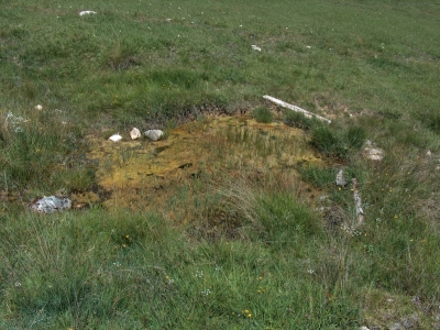 Fuente del Vasallo (charca) - imagen 2