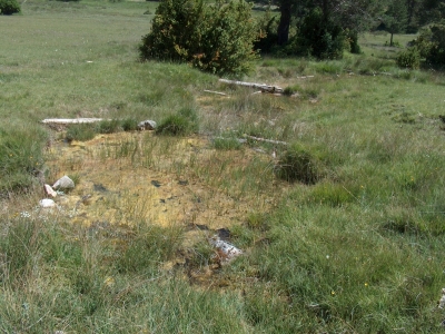 Fuente del Vasallo (charca) - imagen 4