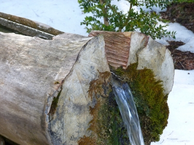 Fuente de la Vereda - imagen 7