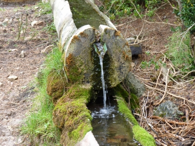 Fuente de la Vereda - imagen 8