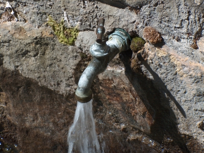 Fuente de la Veredilla (Area Recreativa I) - imagen 4