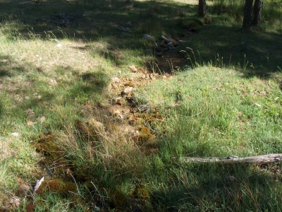 Fuente de la Veredilla - imagen 4