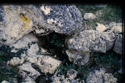 Fuente del Ajo - imagen 1