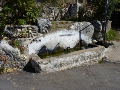 Fuente Bolete - imagen 1