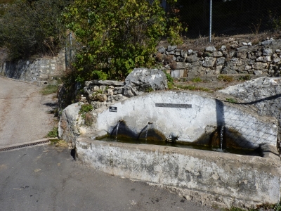 Fuente Bolete - imagen 2