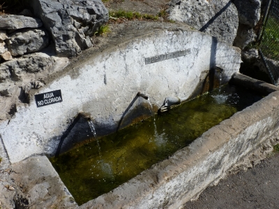 Fuente Bolete - imagen 3