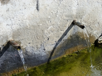 Fuente Bolete - imagen 4