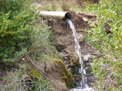 Fuente la Ermita - imagen 5