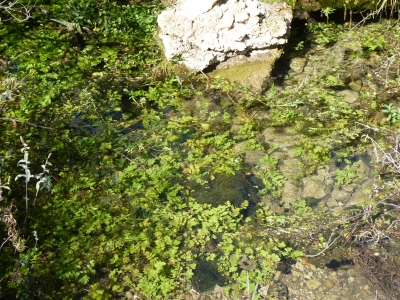 Fuente las Fuentes de la Hoz II - imagen 4