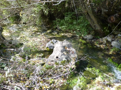 Fuente las Fuentes de la Hoz III - imagen 3