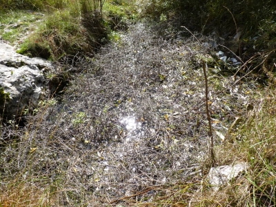 Fuente las Fuentes de la Hoz III - imagen 4