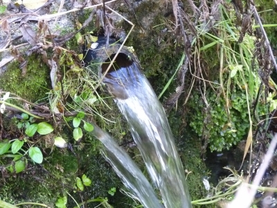 Fuente las Fuentes de la Hoz IV - imagen 1