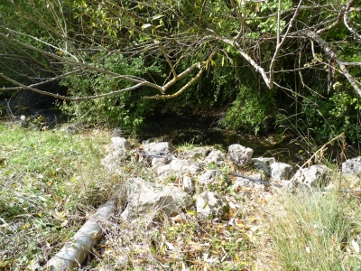 Fuente las Fuentes de la Hoz IV - imagen 2