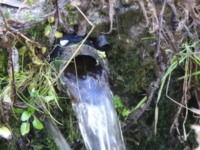 Fuente las Fuentes de la Hoz IV - imagen 4
