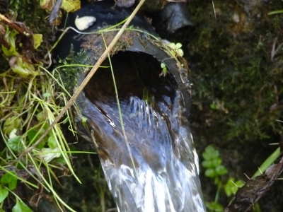 Fuente las Fuentes de la Hoz IV - imagen 5