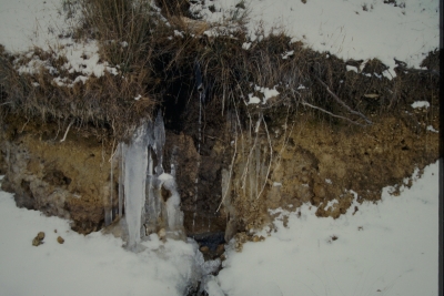 Fuente del Gotear - imagen 2
