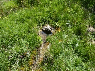 Fuente las Hoyuelas - imagen 2