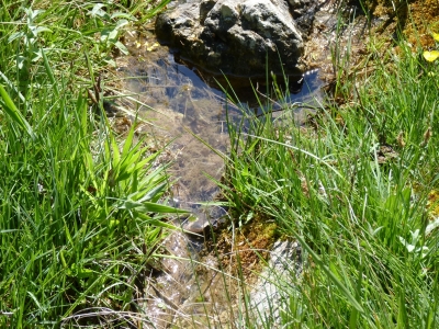 Fuente las Hoyuelas - imagen 3