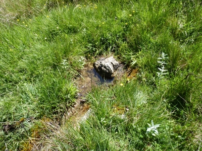 Fuente las Hoyuelas - imagen 4