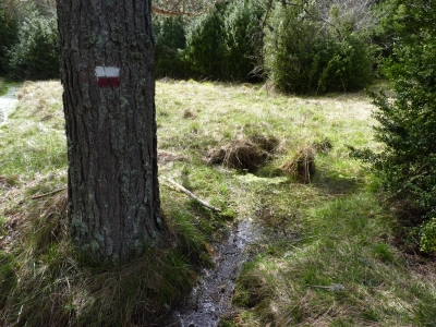 Fuente de las Huelgas de Barrojoso - imagen 2