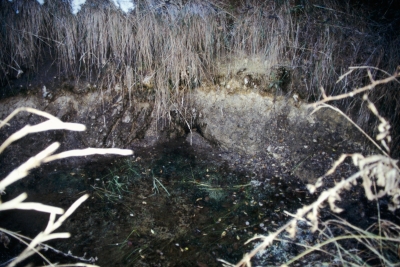 Fuente del Huerto del Tío Martín - imagen 1