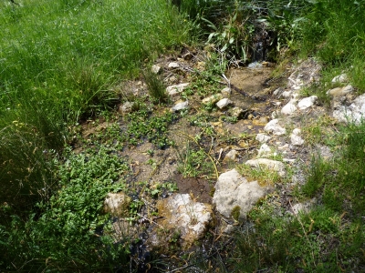 Fuente de los Rincones - imagen 1