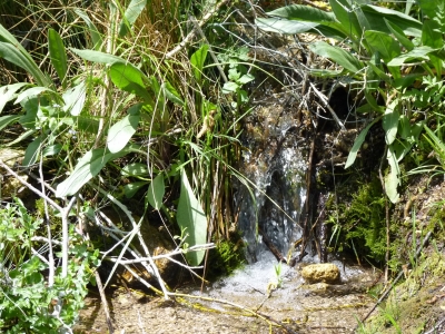 Fuente de los Rincones - imagen 2