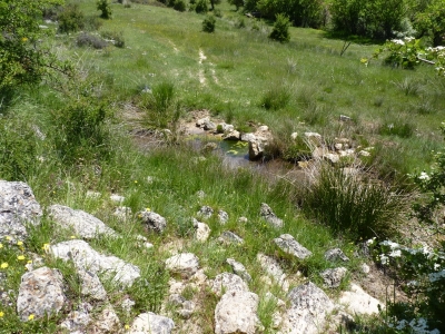 Fuente del Rubial - imagen 1