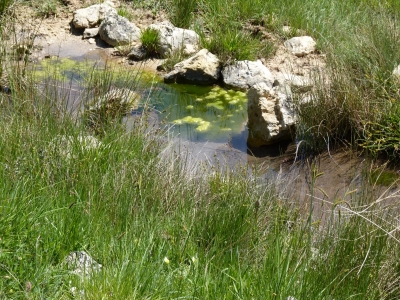 Fuente del Rubial - imagen 2