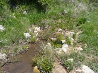 Fuente del Rubial - imagen 3