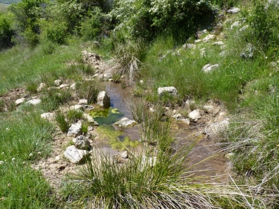 Fuente del Rubial - imagen 4