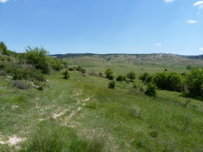Fuente del Rubial - imagen 5